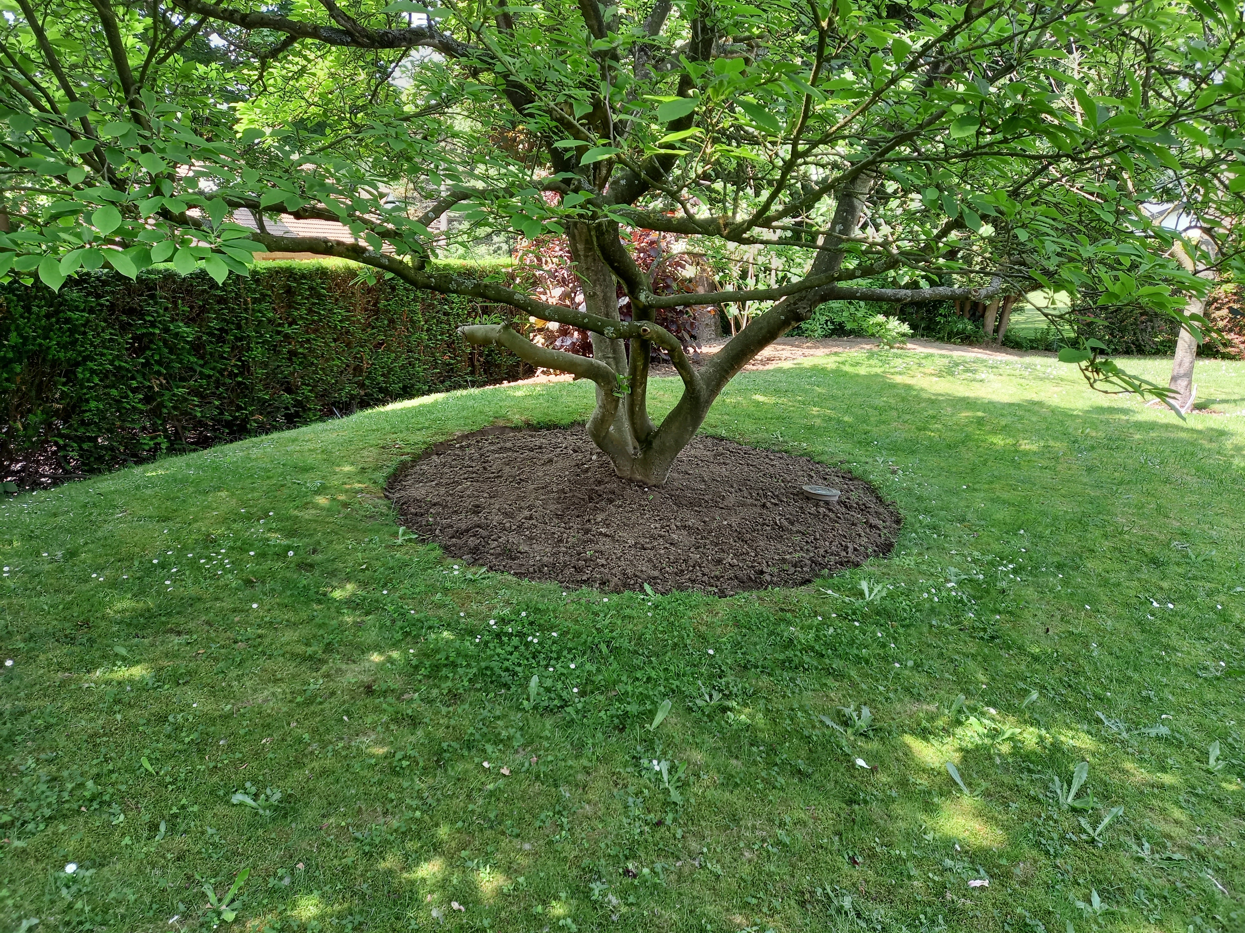 Entretien de votre jardin